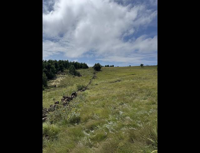 1,730HA FARM FOR SALE IN DARGLE